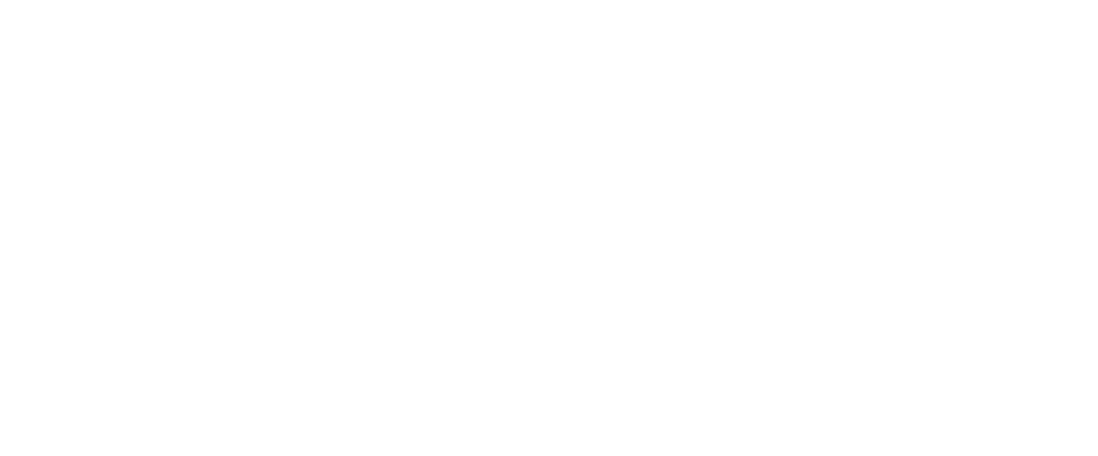 Elektronics-Media